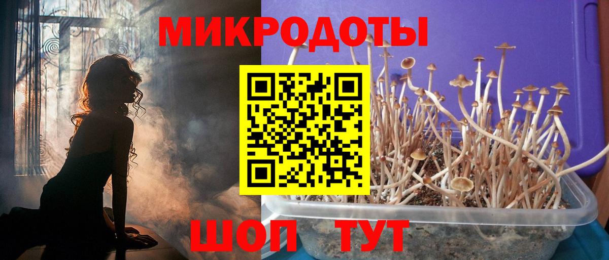 Лесозаводск  Галлюциногенные грибы мухоморы  Галлюциногенные грибы Magic Shrooms  Вход с VPN 